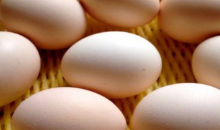 活珠子和毛鸡蛋的做法 活珠子和毛鸡蛋怎么做好吃