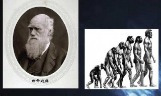 达尔文物种起源 达尔文物种起源的主要观点