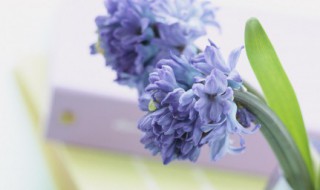 谷雨时节的诗（关于谷雨时节的诗）