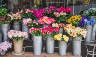 夏天花店鲜花保存方法 鲜花店夏天怎么保存花