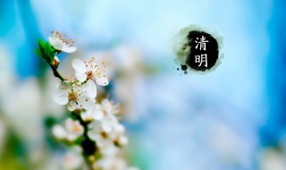 清明节纪念烈士手抄报资料 清明节纪念烈士手抄报资料大全