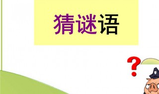 守门员打一字（守门员打一字是什么）