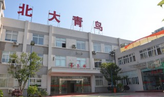 北大青鸟是学校吗 北大青鸟是公办学校吗