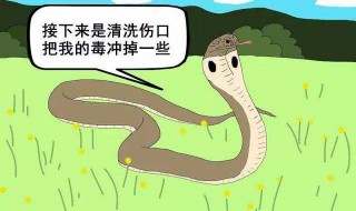 世界十大毒蛇（世界十大毒蛇图片）