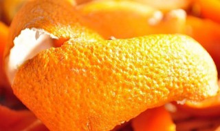 橘子皮煮水喝能止咳吗（橘子皮熬水止咳吗）