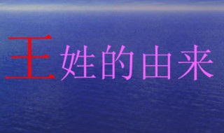 王姓是怎么来的（王姓是怎么来的20字）