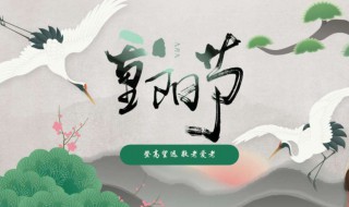 登高是什么节日（登高是什么节日的风俗活动）