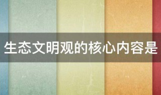 生态文明观的核心内容是（生态文明观的核心内容是共生和谐对吗）