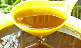 蜂王浆泡酒的功效与作用及禁忌 蜂王浆泡酒的功效与作用及禁忌症