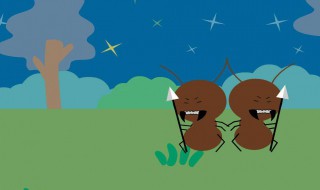 关于蚂蚁的资料（请你收集一些关于蚂蚁的资料）