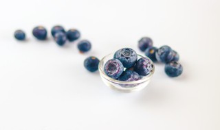 蓝莓浆果的功效与作用 蓝莓浆果的功效与作用是什么