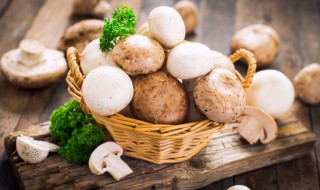 鲜香菇容易熟嘛 鲜香菇容易熟嘛能吃吗