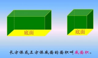 底面积公式 底面积公式字母