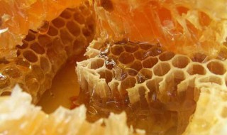 蜂胶是什么 蜂胶是什么东西做成的