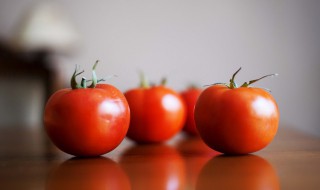 怎样吃西红柿减肥 怎样吃西红柿减肥快