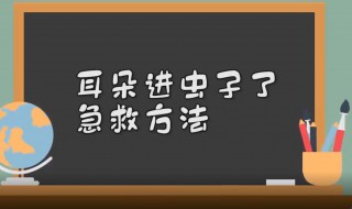 耳朵进虫子怎么办（耳朵进虫子怎么办最简单方法）