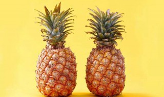 菠萝与凤梨的区别 菠萝与凤梨的区别以及功效