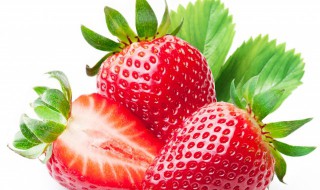 草莓种植技术（草莓种植技术与管理法）