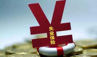 领取失业保险金和失业补助金的区别（领失业金和失业补助金有什么区别）