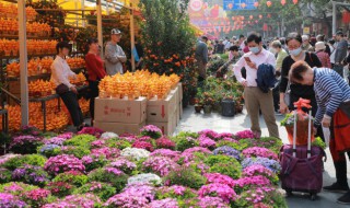 花卉水培和水养的区别（花卉 水培）