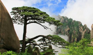 黄山景点介绍 黄山景点介绍导游词