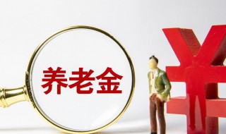 养老金怎么查（养老金怎么查询）