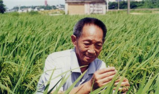 袁隆平是哪里人?什么身份?（袁隆平是哪里人?什么身份的）