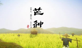 2021芒种节气快乐祝福语（芒种节日祝福语）