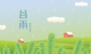 谷雨节气吃什么食物 谷雨节气吃什么食物养生2023年