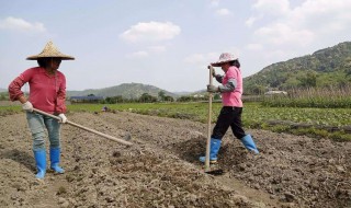 女人干活到多少岁（女人干活到多少岁最好）