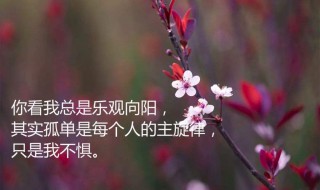 好经典的人生感悟 经典 人生感悟