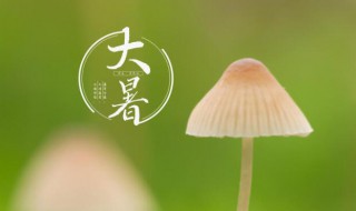 大暑节气的含义（大暑节气的含义是什么?）