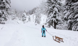 梦见下雪是什么意思预兆（梦见下雪是什么意思周公解梦网）