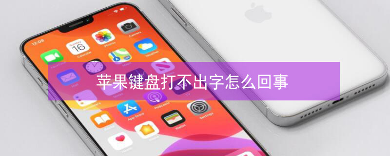 iPhone键盘打不出字怎么回事