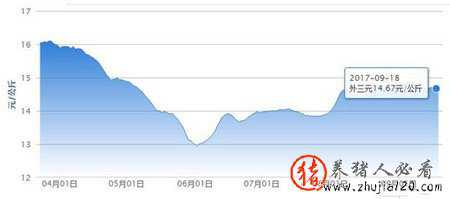 9月猪价下跌饲料成本增加 四季度猪市将如何变化