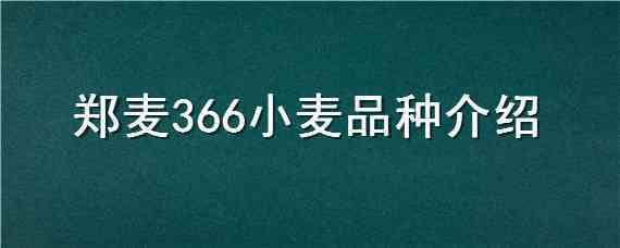 郑麦366小麦品种介绍 郑麦366麦种品种特性