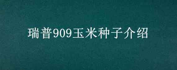 瑞普909玉米种子介绍（瑞普909玉米简介）