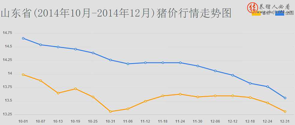 山东省 山东省教育招生考试院