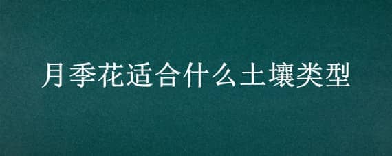 月季花适合什么土壤类型（月季花适合什么样的土壤）