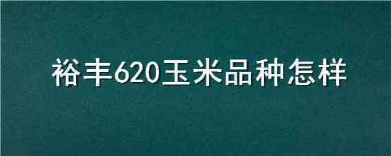 裕丰620玉米品种怎样 裕丰623玉米种子怎么样