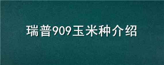 瑞普909玉米种介绍（瑞普909玉米品种介绍）