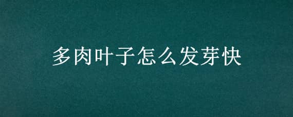 多肉叶子怎么发芽快 多肉叶子怎么发芽快一点