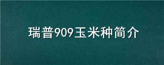 瑞普909玉米种简介（瑞普909玉米种子）