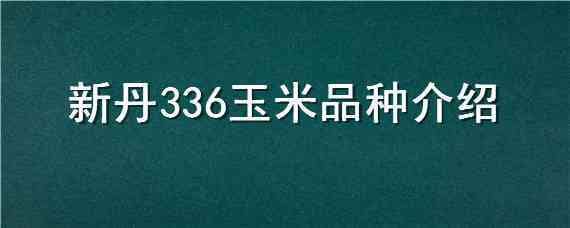 新丹336玉米品种介绍 丹玉336玉米品种