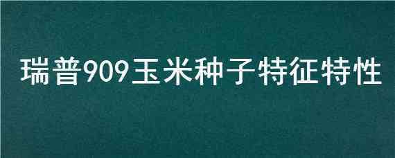 瑞普909玉米种子特征特性（瑞普908玉米品种简介）