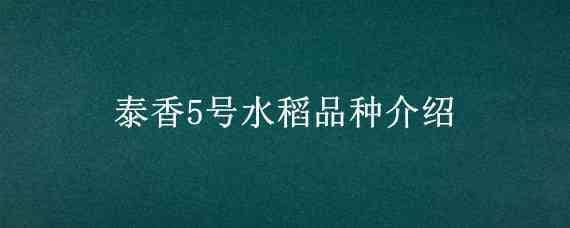 泰香5号水稻品种介绍 泰香8号水稻简介