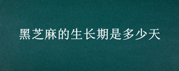 黑芝麻的生长期是多少天（黑芝麻的生长期多少天成熟）