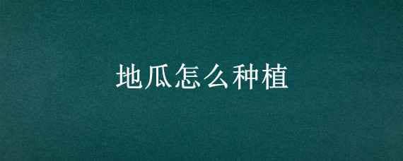 地瓜怎么种植（白地瓜怎么种植）