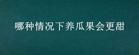 哪种情况下养瓜果会更甜（哪种情况下养瓜果会更甜多晴还是多风）