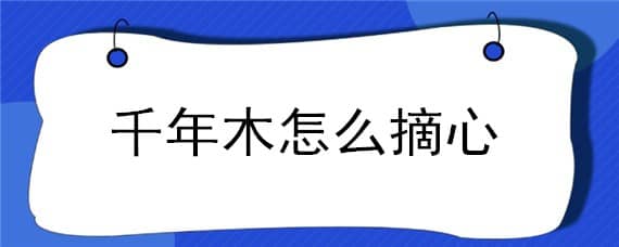 千年木怎么摘心 千年木怎么摘心视频